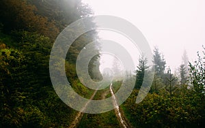 Dirty road in the beautiful mountains with fog in forest at morning.