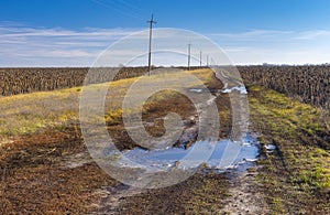 Dirty road between ripe sunflower fields in central Ukraine at late autumnal season