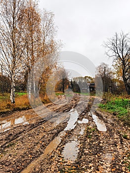 Dirty road in the village. Passing obstacles. The car can get stuck in mud. Autumn, Russia