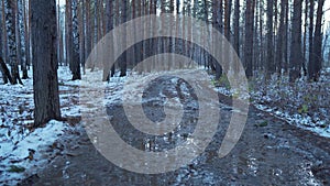 Dirty Road Through Winter Forest. Snowy Road, Trail Through Winter Forest. Morning in the Mixed Forest. Smooth Camera