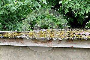 Dirty roof with dense moss and gutter with leaves and moss, requiring cleaning.