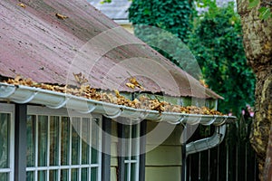 Dirty roof with gutter with leaves requiring cleaning