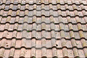 Dirty roof tiles with dense moss requiring cleaning