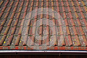 Dirty roof tiles and gutter requiring cleaning