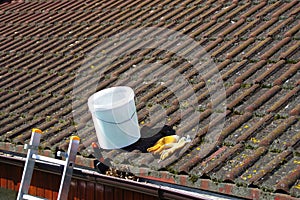 Dirty roof tiles and gutter requiring cleaning