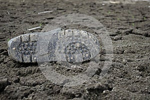 Dirty rubber boot lies on the ground. On the river bank lies one dirty rubber boot. Protector of the sole of the boot.