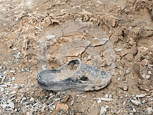 Dirty rubber shoe with the dry mud.