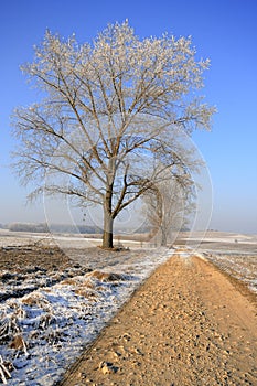 Dirty rural road