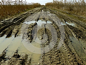 Dirty rural road