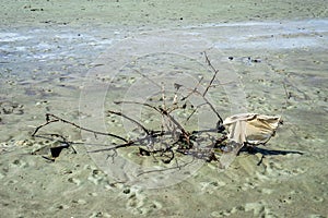 Dirty sand on Itapema beach on a sunny day