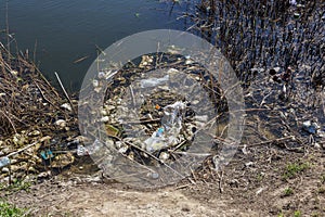 Dirty sewage and household rubbish in small river, irrigation channel causes rapid growth of algae. Water pollution. Ecological pr