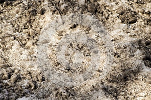 Texture of dirty snow close-up