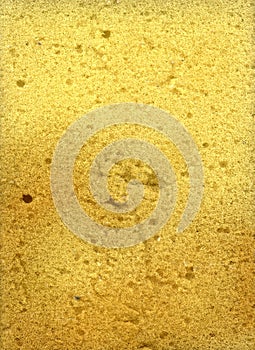 Dirty Sponge Texture