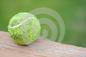 Dirty Tennis Ball