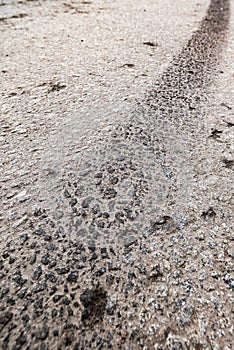 Dirty tire track on asphalt