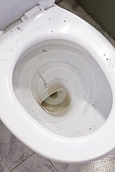 Dirty toilet