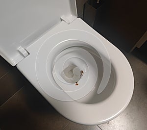 Dirty toilet bowl with unflushed water. Unhygienic, unclean, unpleasant toilet