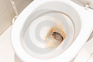 Dirty unhygienic toilet bowl with limescale stain at public restroom close up