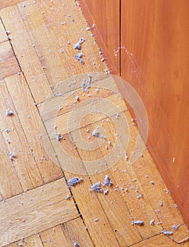 Dirty unswept wooden floor with dust