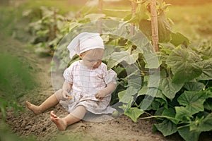 Dirty unwashed fruit. Hungry child is sitting on the earth in a vegetable garden