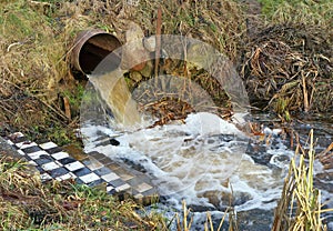 Dirty waste water merges into a clean forest stream