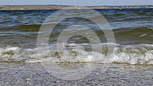 Dirty water with microalgae waves go towards the camera on the sandy spit of the Tiligul estuary, Ukraine