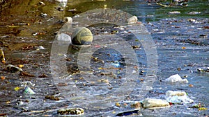 Dirty Water People Plastic Pollution Waste