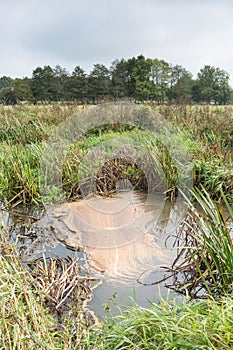 Dirty water in a river in a countryside landscape in Holland