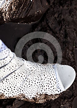 Dirty white high-heel shoes in the mud