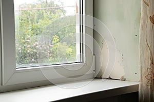 dirty window with a sill with mold from dampness, fungus on the window in the apartment