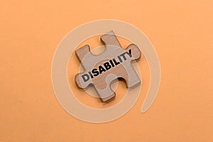 Disability Awareness Puzzle Piece