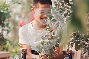 Disability child on wheelchair looking plant