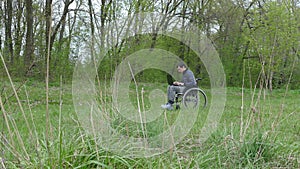 Disabled man wheelchair with laptop in wheelchair working on nature green background