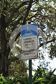 Disabled parking sign under a tree