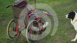 A disabled person plays with a dog, canitis therapy, disability treatment through training with a dog, Man in a