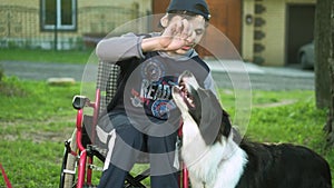 A disabled person plays with a dog, canitis therapy, disability treatment through training with a dog, Man in a