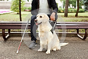 Disabled person sit having rest with dog guide outdoors