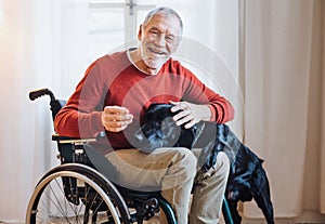 A disabled senior man in wheelchair indoors playing with a pet dog at home.