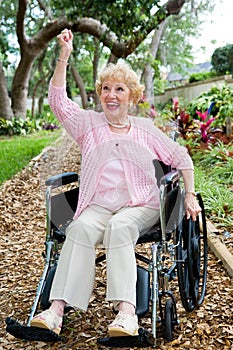 Disabled Senior Success