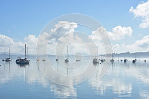 Disappearing fog in calm morning harbour