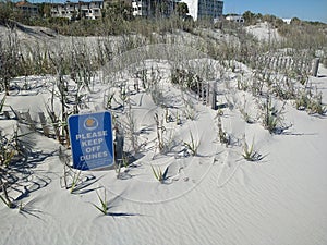 Disappearing  Sand Dunes Myrtle Beach