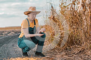 Disappointed female corn farmer in cornfield after poor harvest