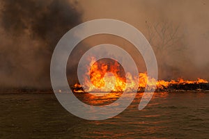 Disaster. Large fire on banks of Volga River in Astrakhan region. Russia. Burning dry grass and reed on coastline. Fire