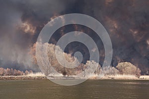 Disaster. Large fire in the steppe near Astrakhan, Russia. Burning dry reeds or reeds. Thick black smoke rises into the sky. Flora