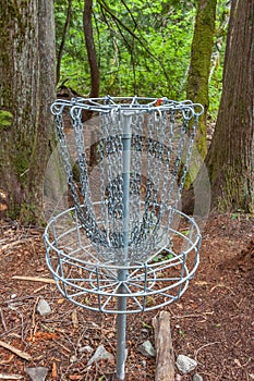 Disc Golf Basket