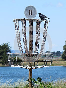 Disc Golf Course