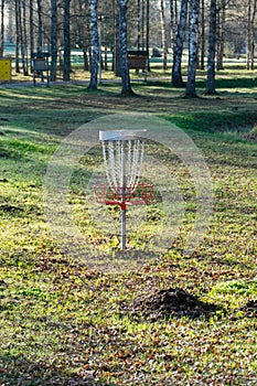 a disc golf hole on green grass with birch grove in background, disc golf basket in a park