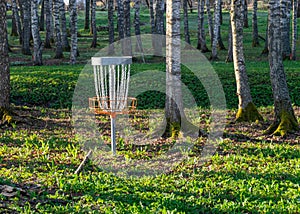 a disc golf hole on green grass with birch grove in background, disc golf basket in a park