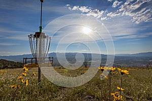 Disc golf metal hoop basket landscape view sunny day wildflowers