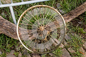 Discarded Bicycle Spokes